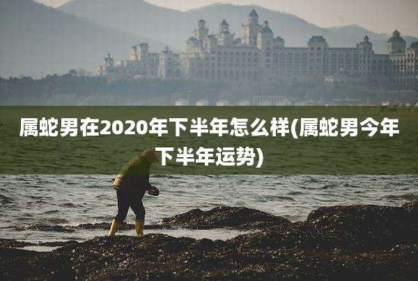 属蛇男在2020年下半年怎么样(属蛇男今年下半年运势)