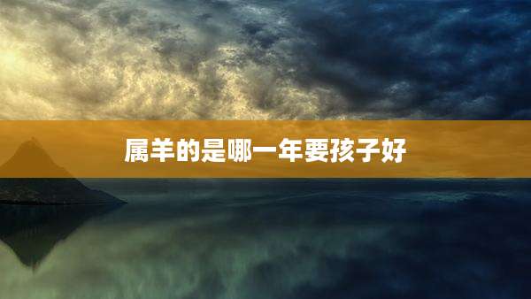 属羊的是哪一年要孩子好
