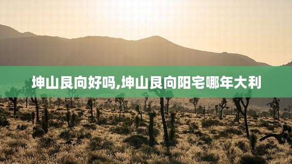 坤山艮向好吗,坤山艮向阳宅哪年大利