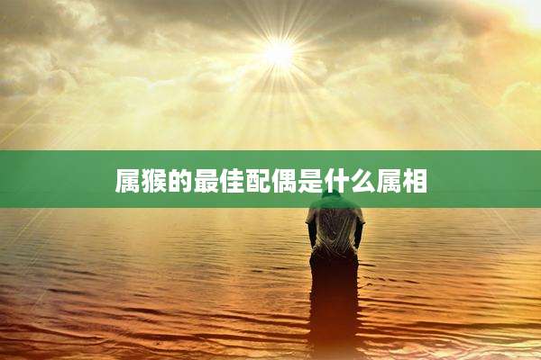 属猴的最佳配偶是什么属相