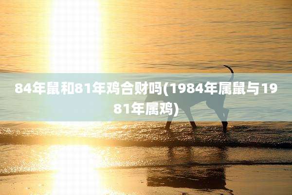84年鼠和81年鸡合财吗(1984年属鼠与1981年属鸡)
