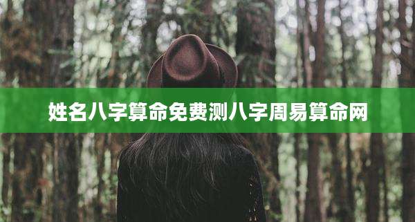 姓名八字算命免费测八字周易算命网
