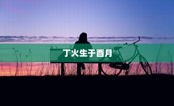 丁火生于酉月