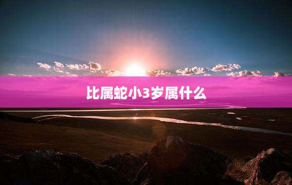 比属蛇小3岁属什么