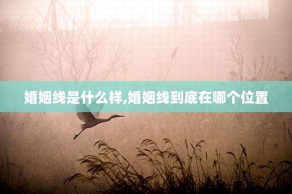 婚姻线是什么样,婚姻线到底在哪个位置