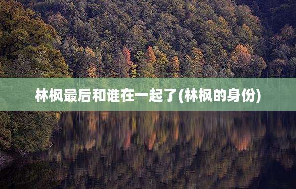林枫最后和谁在一起了(林枫的身份)