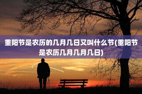 重阳节是农历的几月几日又叫什么节(重阳节是农历几月几月几日)