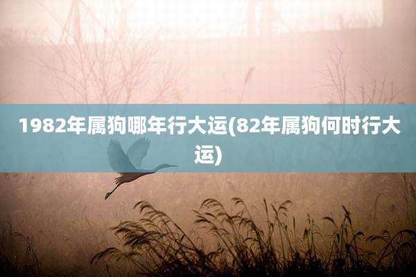1982年属狗哪年行大运(82年属狗何时行大运)