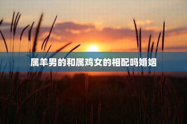 属羊男的和属鸡女的相配吗婚姻