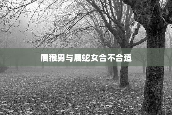 属猴男与属蛇女合不合适
