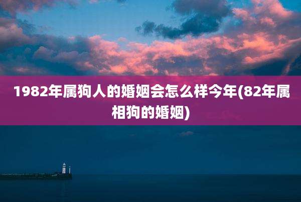 1982年属狗人的婚姻会怎么样今年(82年属相狗的婚姻)