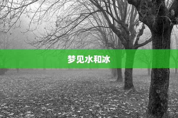 梦见水和冰