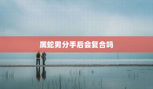 属蛇男分手后会复合吗