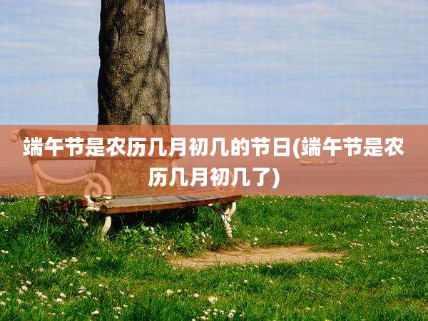 端午节是农历几月初几的节日(端午节是农历几月初几了)
