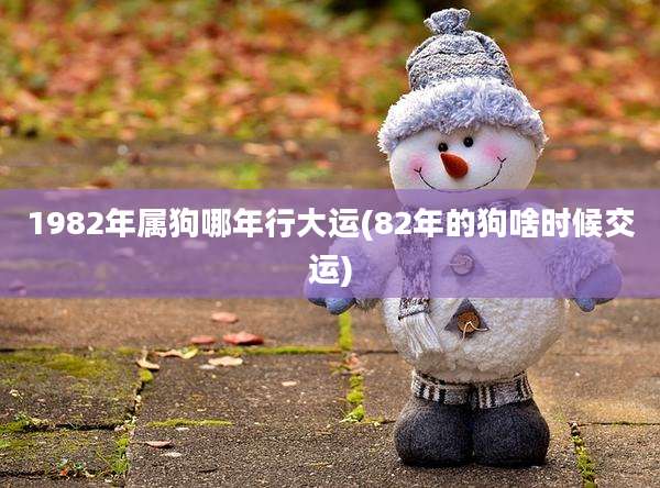 1982年属狗哪年行大运(82年的狗啥时候交运)