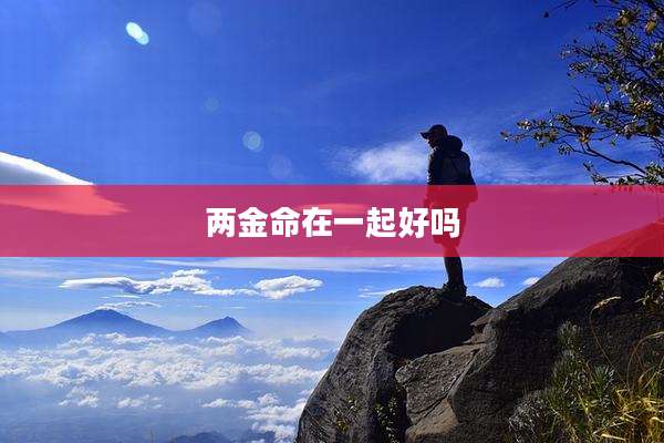 两金命在一起好吗