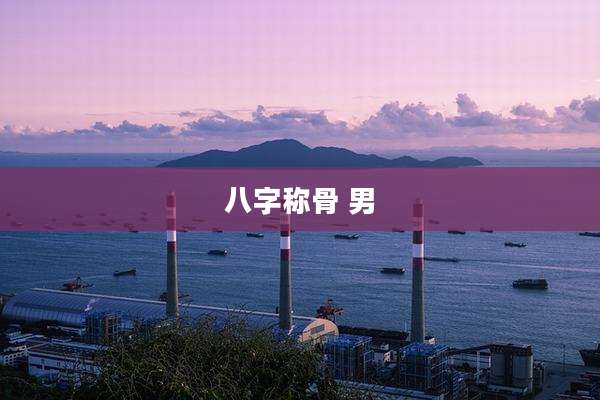 八字称骨 男
