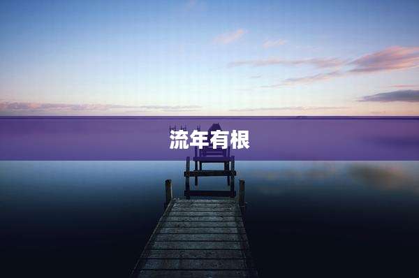 流年有根