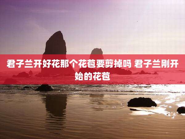 君子兰开好花那个花苞要剪掉吗 君子兰刚开始的花苞