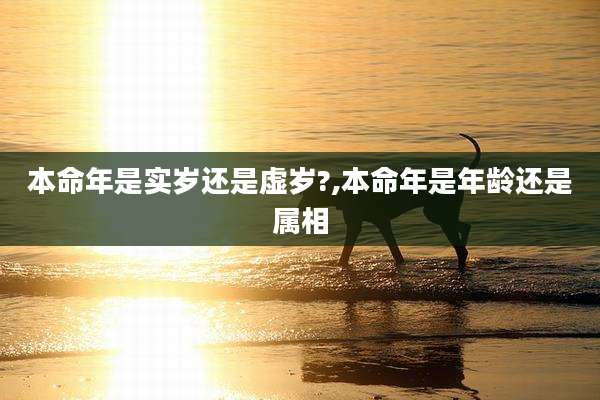 本命年是实岁还是虚岁?,本命年是年龄还是属相