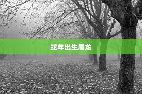 蛇年出生属龙