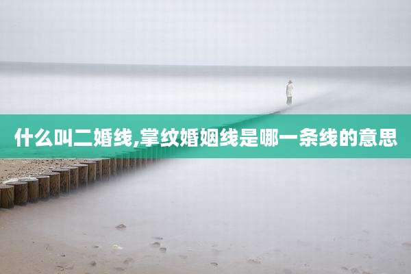什么叫二婚线,掌纹婚姻线是哪一条线的意思