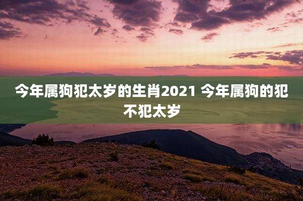 今年属狗犯太岁的生肖2021 今年属狗的犯不犯太岁