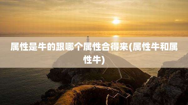 属性是牛的跟哪个属性合得来(属性牛和属性牛)