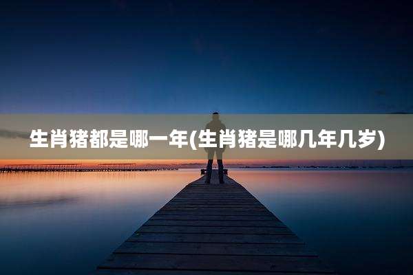 生肖猪都是哪一年(生肖猪是哪几年几岁)