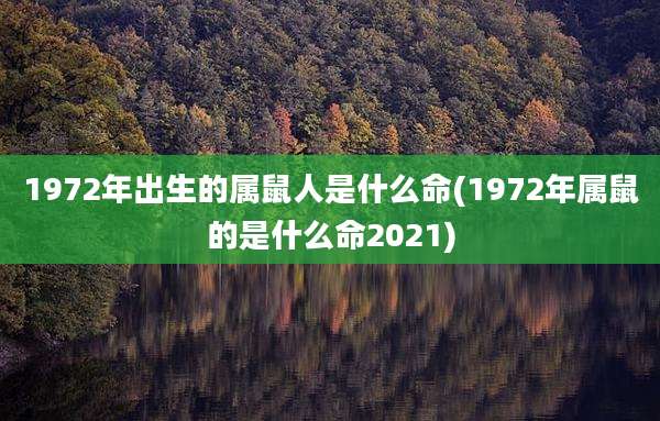 1972年出生的属鼠人是什么命(1972年属鼠的是什么命2021)