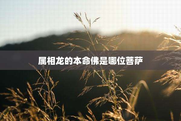 属相龙的本命佛是哪位菩萨