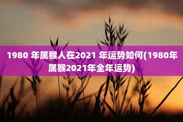 1980 年属猴人在2021 年运势如何(1980年属猴2021年全年运势)