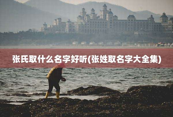 张氏取什么名字好听(张姓取名字大全集)