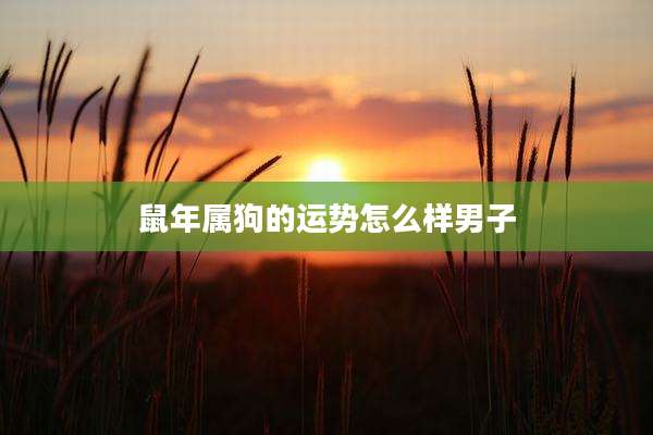 鼠年属狗的运势怎么样男子