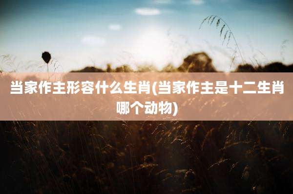 当家作主形容什么生肖(当家作主是十二生肖哪个动物)