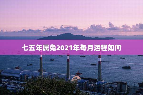 七五年属兔2021年每月运程如何