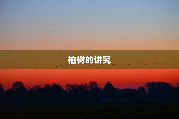 柏树的讲究