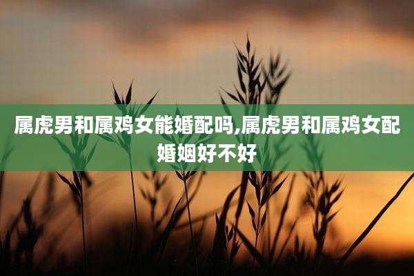 属虎男和属鸡女能婚配吗,属虎男和属鸡女配婚姻好不好