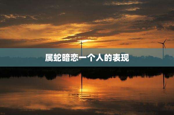 属蛇暗恋一个人的表现