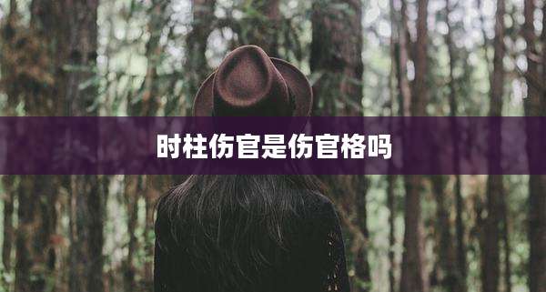 时柱伤官是伤官格吗