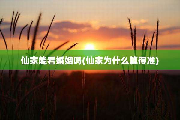 仙家能看婚姻吗(仙家为什么算得准)