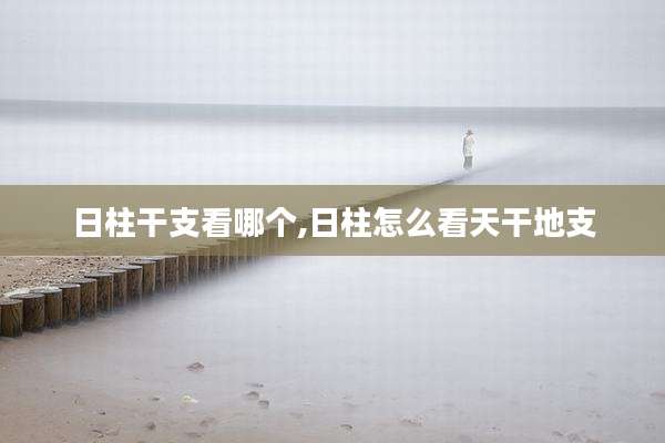日柱干支看哪个,日柱怎么看天干地支