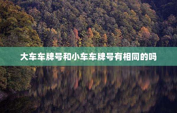 大车车牌号和小车车牌号有相同的吗