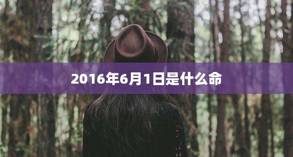 2016年6月1日是什么命