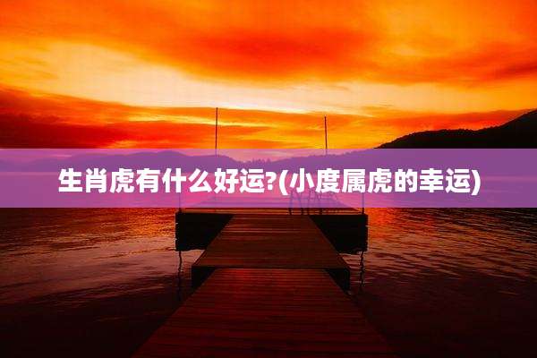 生肖虎有什么好运?(小度属虎的幸运)