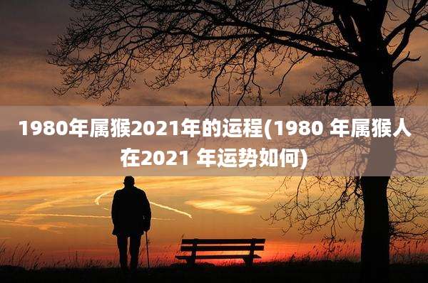 1980年属猴2021年的运程(1980 年属猴人在2021 年运势如何)