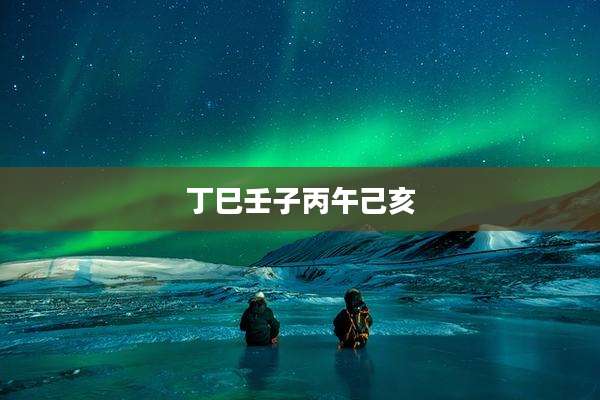 丁巳壬子丙午己亥