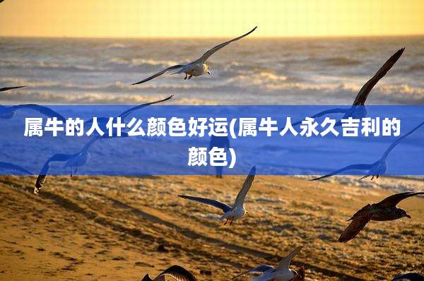 属牛的人什么颜色好运(属牛人永久吉利的颜色)
