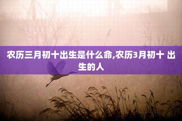 农历三月初十出生是什么命,农历3月初十 出生的人