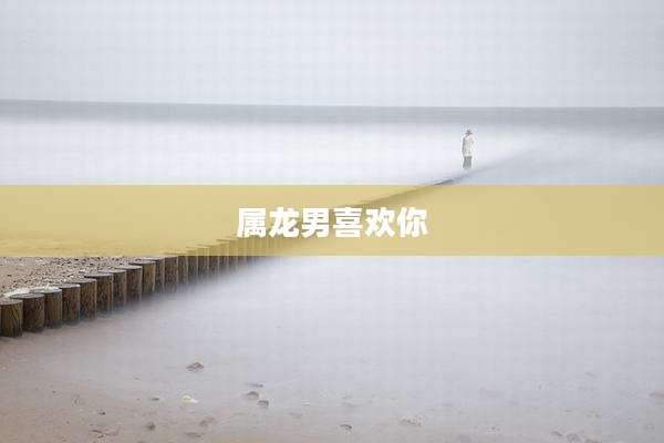 属龙男喜欢你